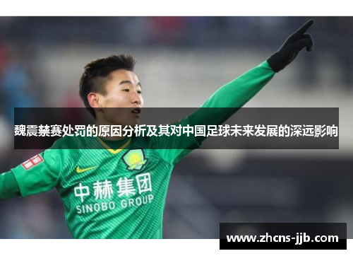 魏震禁赛处罚的原因分析及其对中国足球未来发展的深远影响